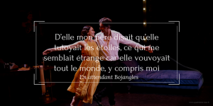 en attendant bojangles quatrieme mur blog théâtre pepiniere theatre critique avis paris