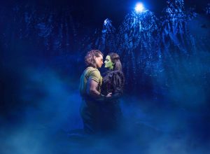 Wicked London blog théâtre critique avis Londres comédie musicale Sophie Evans and Alice Fearn_Photo Matt Crockett blog